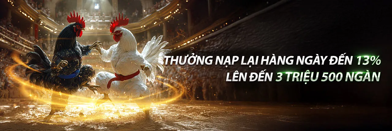 Hình ảnh chính các chương trình 99win khuyến mãi 2026